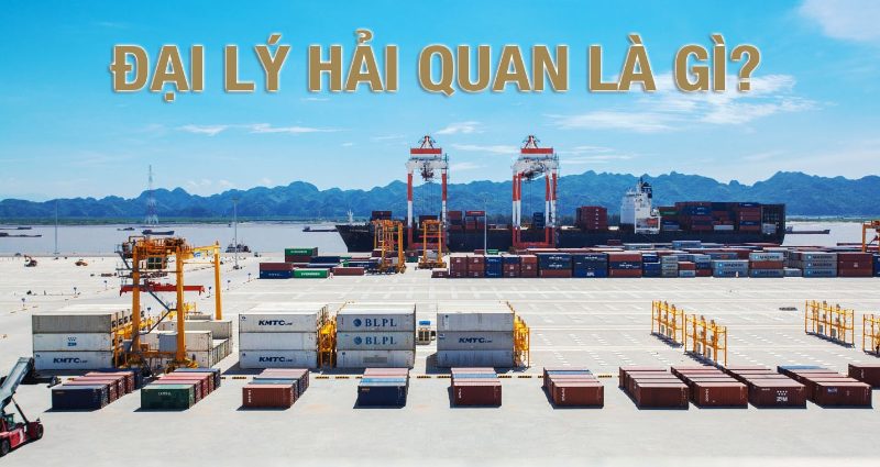 Đại lý hải quan được xem là một trong những người khai hải quan.