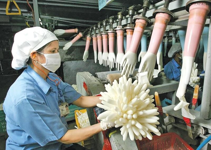 Găng tay y tế phải sản xuất đạt chuẩn mới có thể xuất khẩu