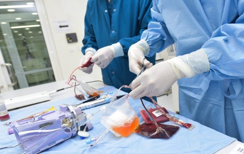 Yêu cầu chất lượng và tiêu chuẩn găng tay y tế xuất khẩu