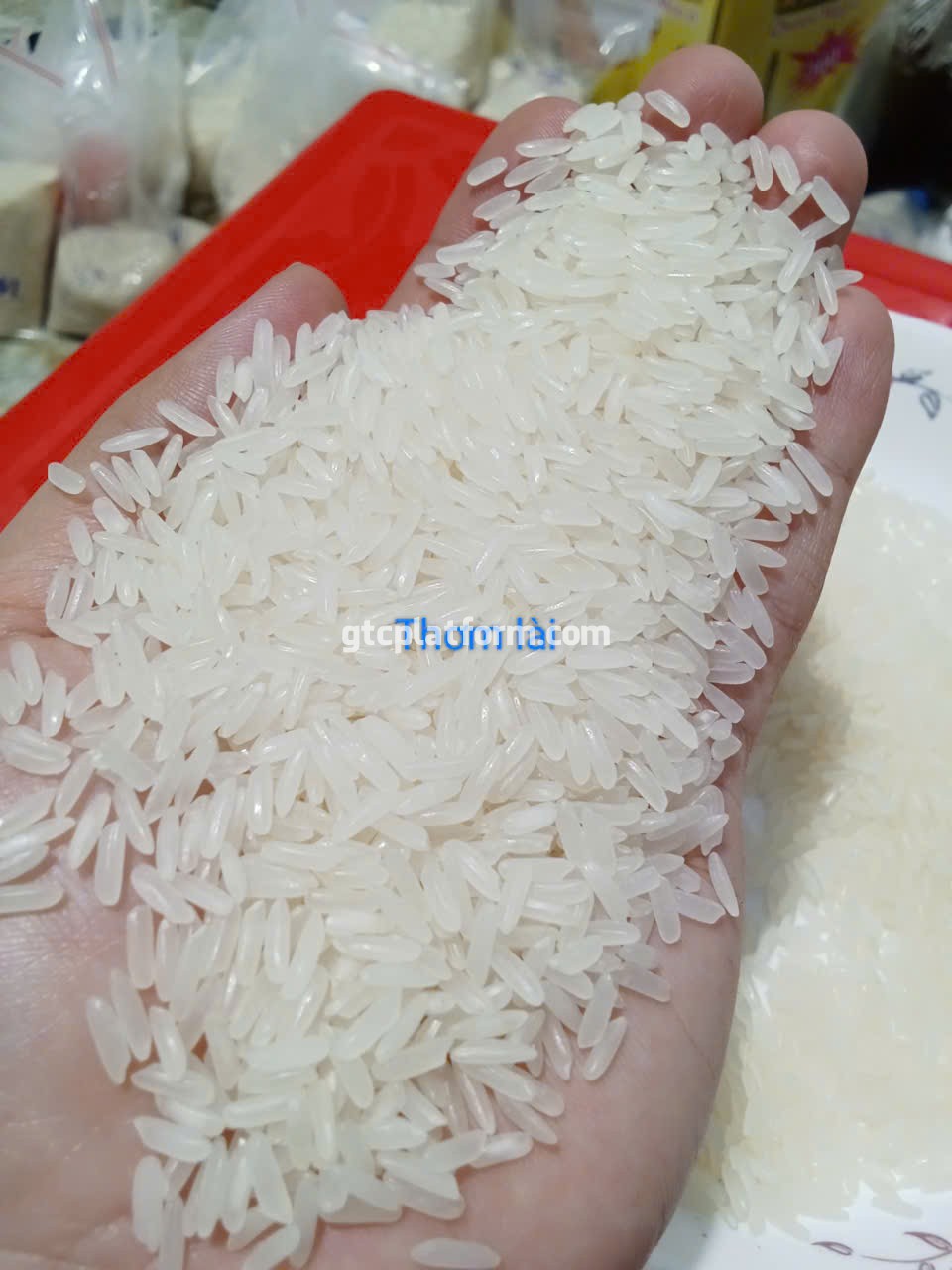 Gạo