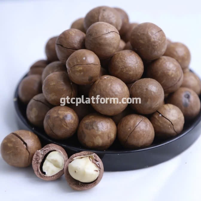 Hạt macca nứt vỏ